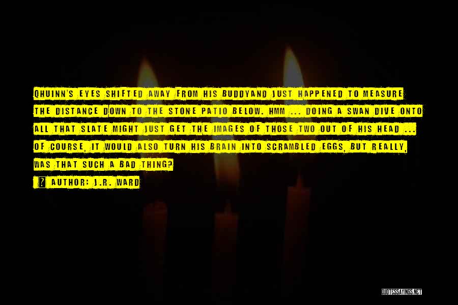 J.R. Ward Quotes: Qhuinn's Eyes Shifted Away From His Buddyand Just Happened To Measure The Distance Down To The Stone Patio Below. Hmm