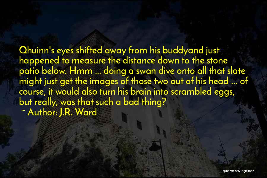 J.R. Ward Quotes: Qhuinn's Eyes Shifted Away From His Buddyand Just Happened To Measure The Distance Down To The Stone Patio Below. Hmm