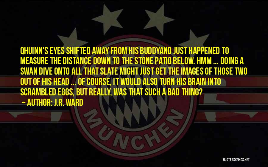 J.R. Ward Quotes: Qhuinn's Eyes Shifted Away From His Buddyand Just Happened To Measure The Distance Down To The Stone Patio Below. Hmm