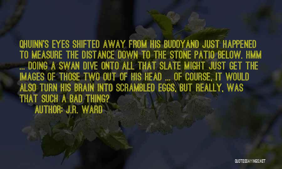 J.R. Ward Quotes: Qhuinn's Eyes Shifted Away From His Buddyand Just Happened To Measure The Distance Down To The Stone Patio Below. Hmm