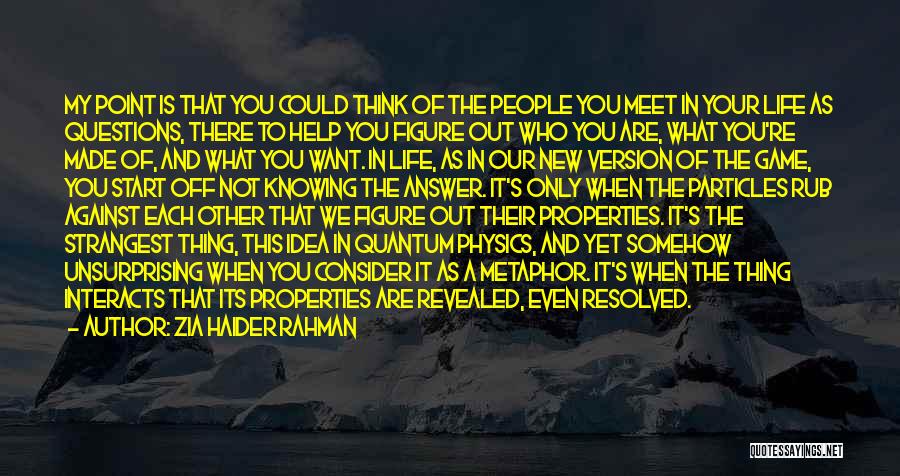 Zia Haider Rahman Quotes: My Point Is That You Could Think Of The People You Meet In Your Life As Questions, There To Help