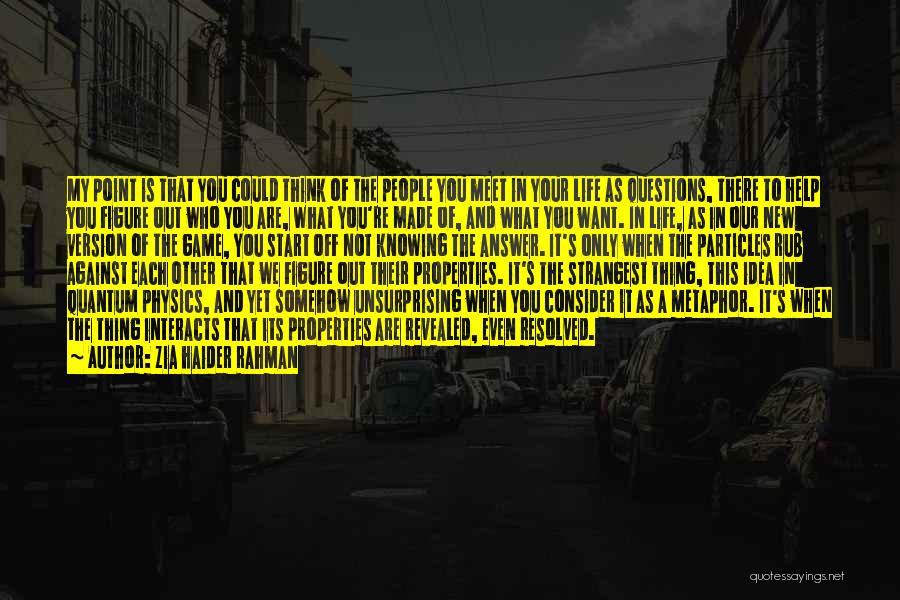 Zia Haider Rahman Quotes: My Point Is That You Could Think Of The People You Meet In Your Life As Questions, There To Help
