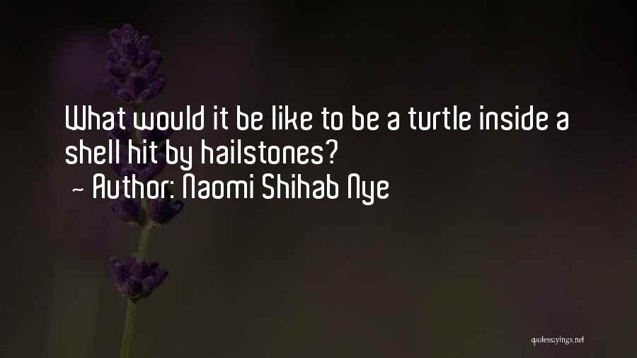 Naomi Shihab Nye Quotes: What Would It Be Like To Be A Turtle Inside A Shell Hit By Hailstones?