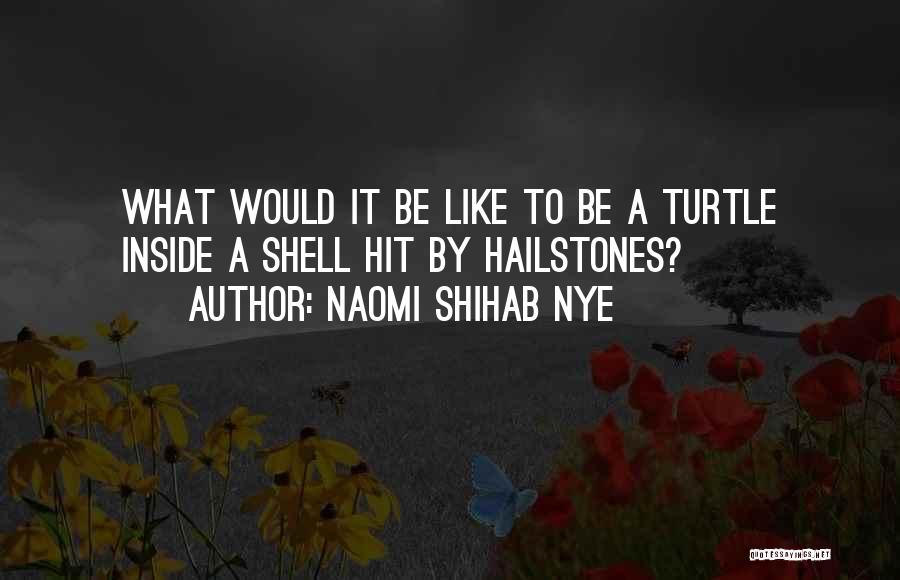 Naomi Shihab Nye Quotes: What Would It Be Like To Be A Turtle Inside A Shell Hit By Hailstones?