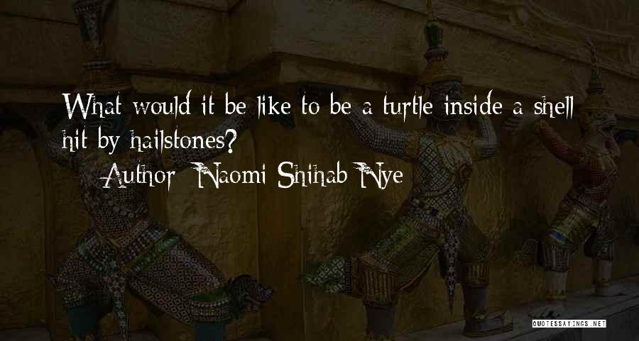 Naomi Shihab Nye Quotes: What Would It Be Like To Be A Turtle Inside A Shell Hit By Hailstones?