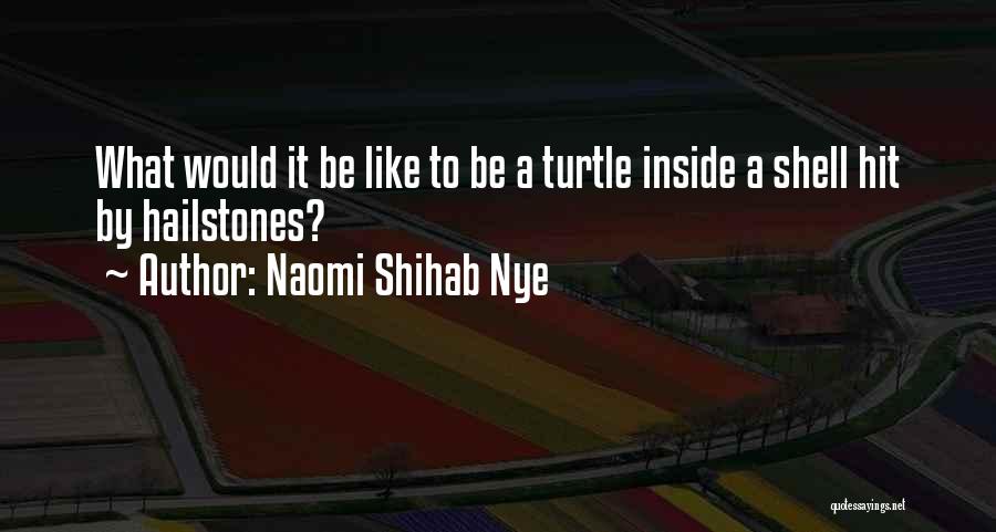 Naomi Shihab Nye Quotes: What Would It Be Like To Be A Turtle Inside A Shell Hit By Hailstones?