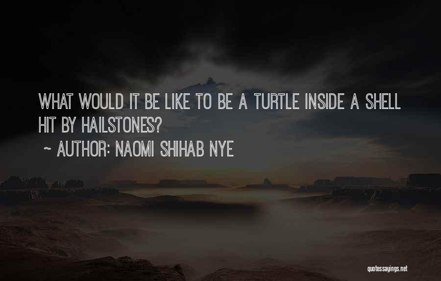 Naomi Shihab Nye Quotes: What Would It Be Like To Be A Turtle Inside A Shell Hit By Hailstones?