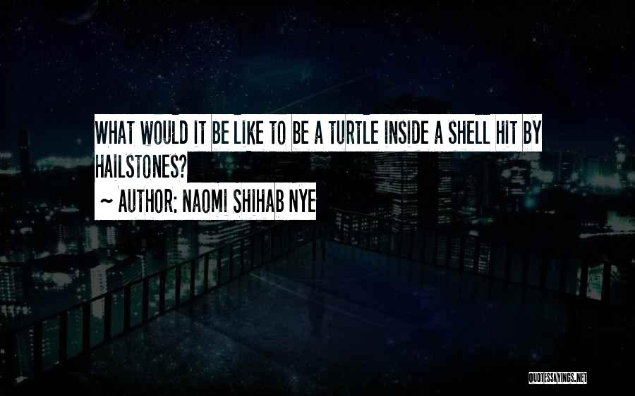 Naomi Shihab Nye Quotes: What Would It Be Like To Be A Turtle Inside A Shell Hit By Hailstones?