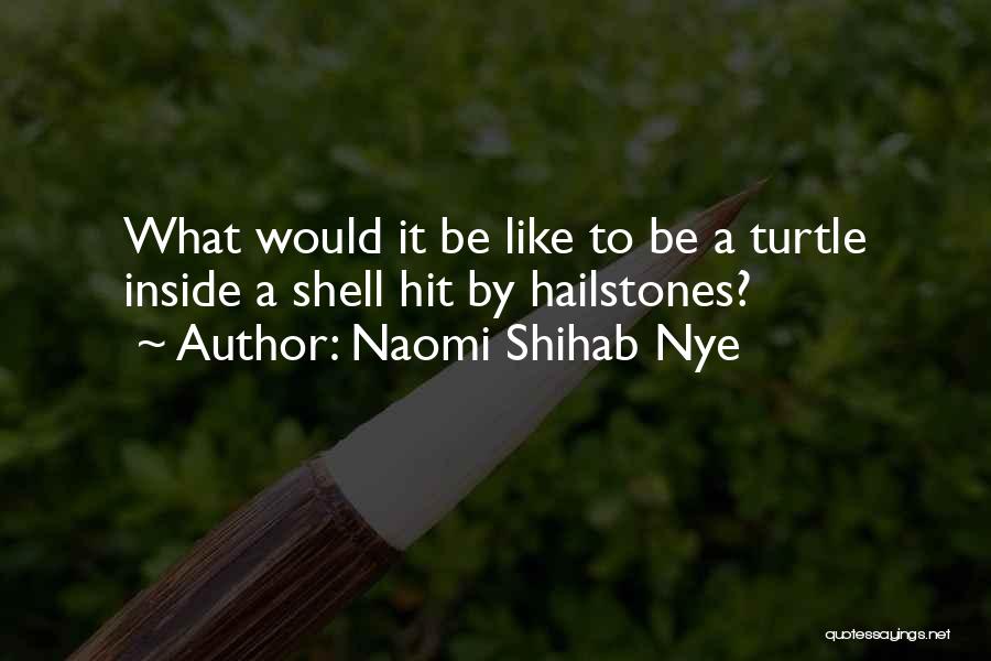 Naomi Shihab Nye Quotes: What Would It Be Like To Be A Turtle Inside A Shell Hit By Hailstones?