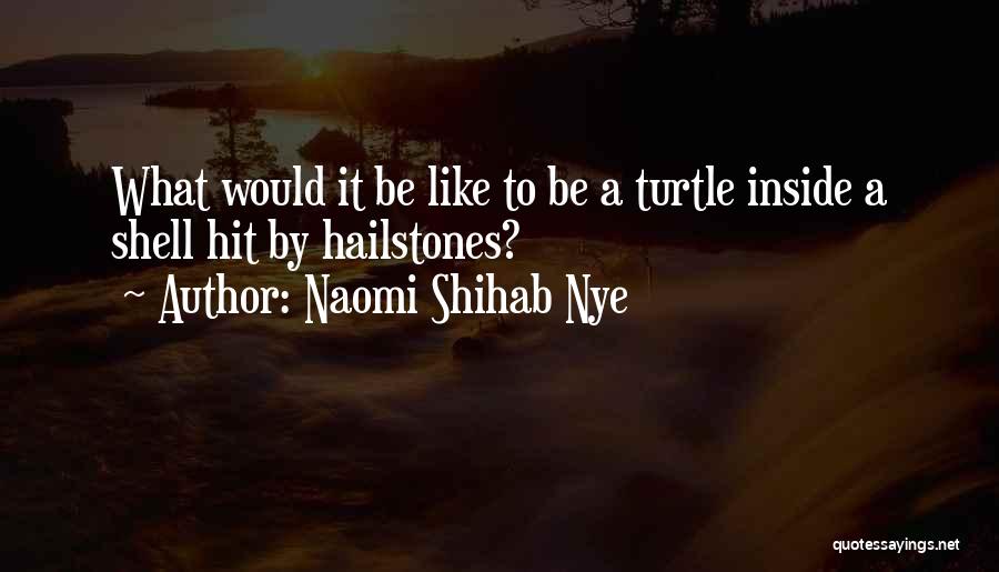 Naomi Shihab Nye Quotes: What Would It Be Like To Be A Turtle Inside A Shell Hit By Hailstones?