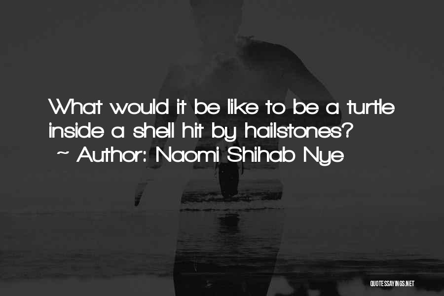 Naomi Shihab Nye Quotes: What Would It Be Like To Be A Turtle Inside A Shell Hit By Hailstones?