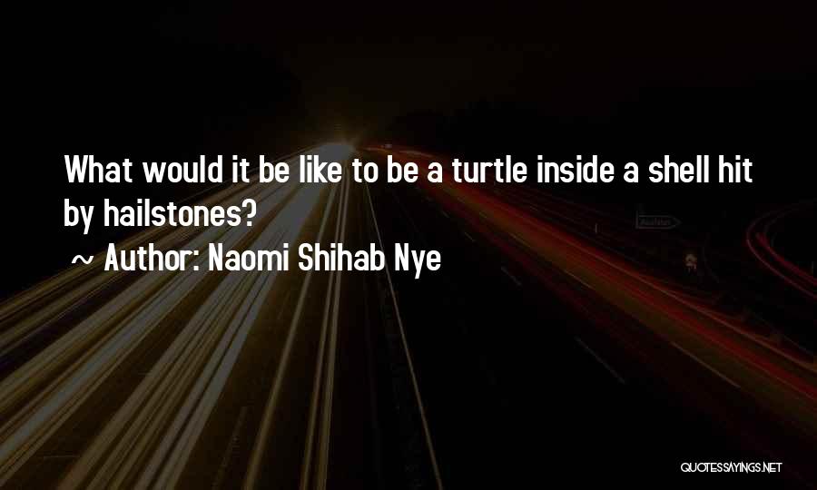 Naomi Shihab Nye Quotes: What Would It Be Like To Be A Turtle Inside A Shell Hit By Hailstones?
