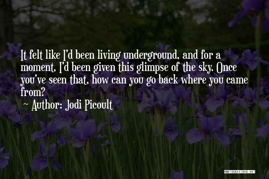 Jodi Picoult Quotes: It Felt Like I'd Been Living Underground, And For A Moment, I'd Been Given This Glimpse Of The Sky. Once