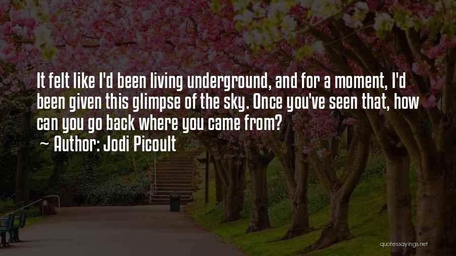 Jodi Picoult Quotes: It Felt Like I'd Been Living Underground, And For A Moment, I'd Been Given This Glimpse Of The Sky. Once