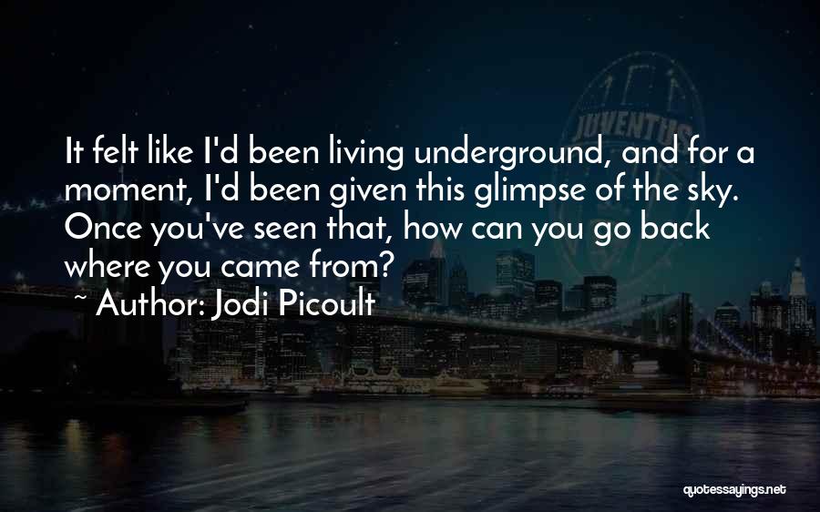 Jodi Picoult Quotes: It Felt Like I'd Been Living Underground, And For A Moment, I'd Been Given This Glimpse Of The Sky. Once