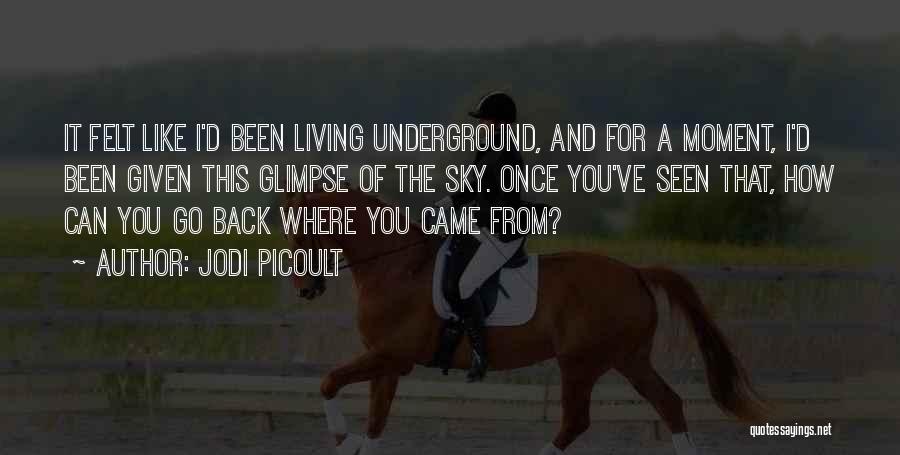 Jodi Picoult Quotes: It Felt Like I'd Been Living Underground, And For A Moment, I'd Been Given This Glimpse Of The Sky. Once