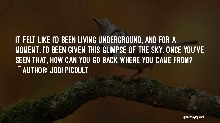 Jodi Picoult Quotes: It Felt Like I'd Been Living Underground, And For A Moment, I'd Been Given This Glimpse Of The Sky. Once