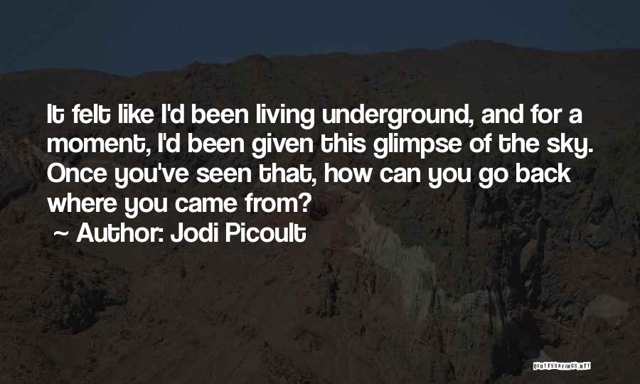 Jodi Picoult Quotes: It Felt Like I'd Been Living Underground, And For A Moment, I'd Been Given This Glimpse Of The Sky. Once