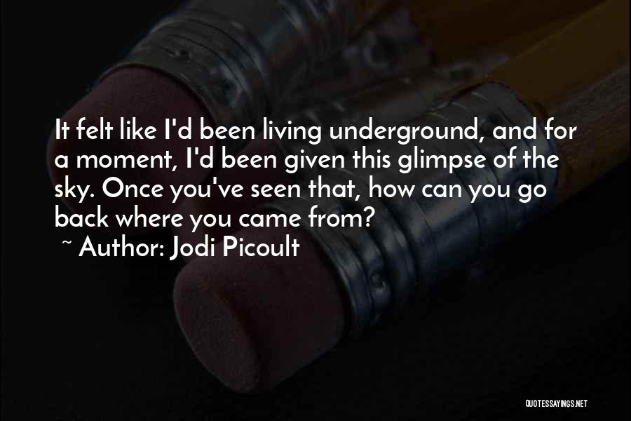 Jodi Picoult Quotes: It Felt Like I'd Been Living Underground, And For A Moment, I'd Been Given This Glimpse Of The Sky. Once
