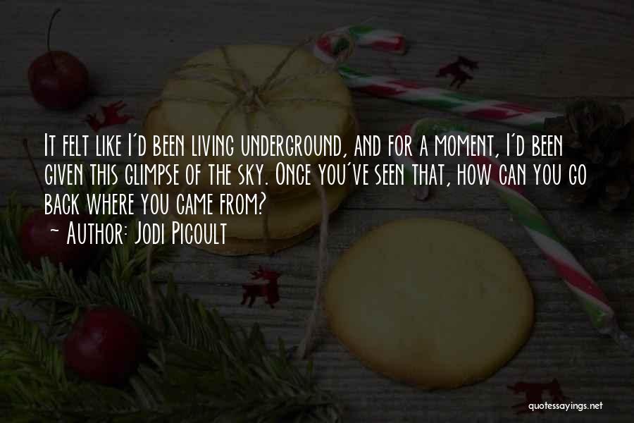 Jodi Picoult Quotes: It Felt Like I'd Been Living Underground, And For A Moment, I'd Been Given This Glimpse Of The Sky. Once