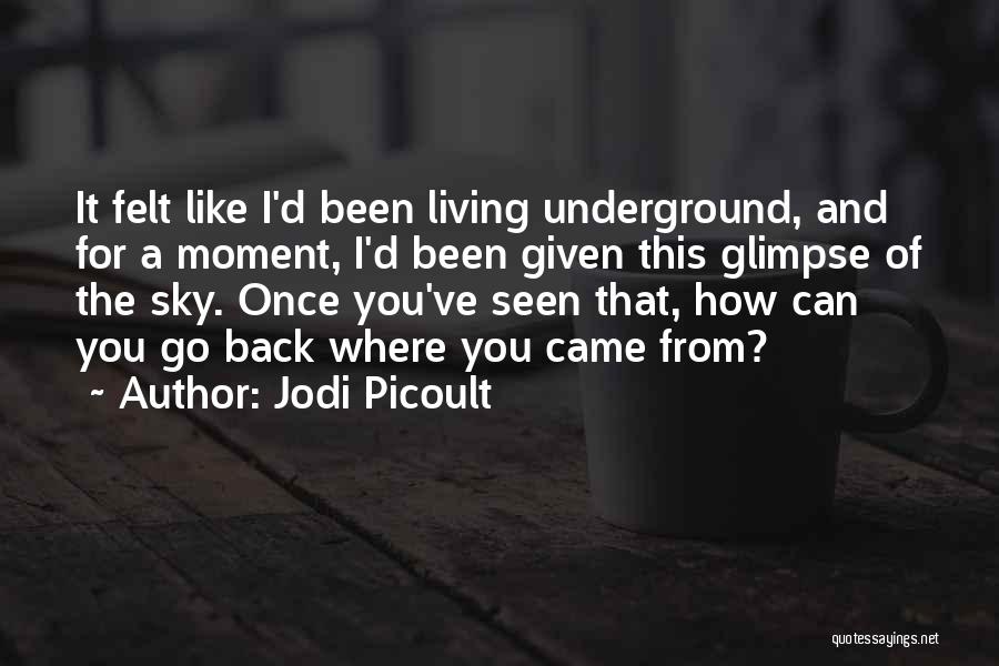 Jodi Picoult Quotes: It Felt Like I'd Been Living Underground, And For A Moment, I'd Been Given This Glimpse Of The Sky. Once