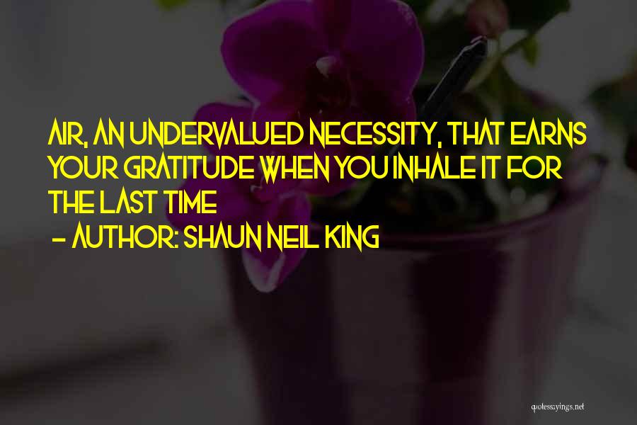 Shaun Neil King Quotes: Air, An Undervalued Necessity, That Earns Your Gratitude When You Inhale It For The Last Time