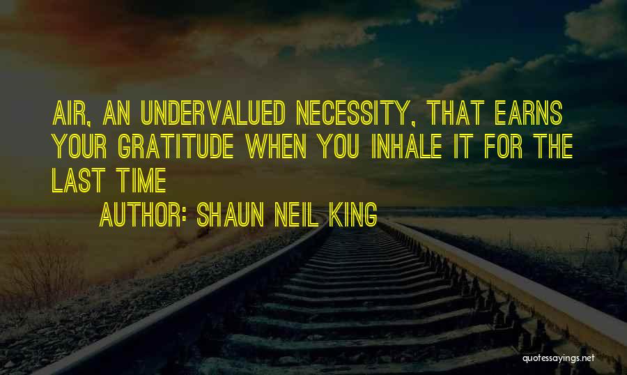 Shaun Neil King Quotes: Air, An Undervalued Necessity, That Earns Your Gratitude When You Inhale It For The Last Time