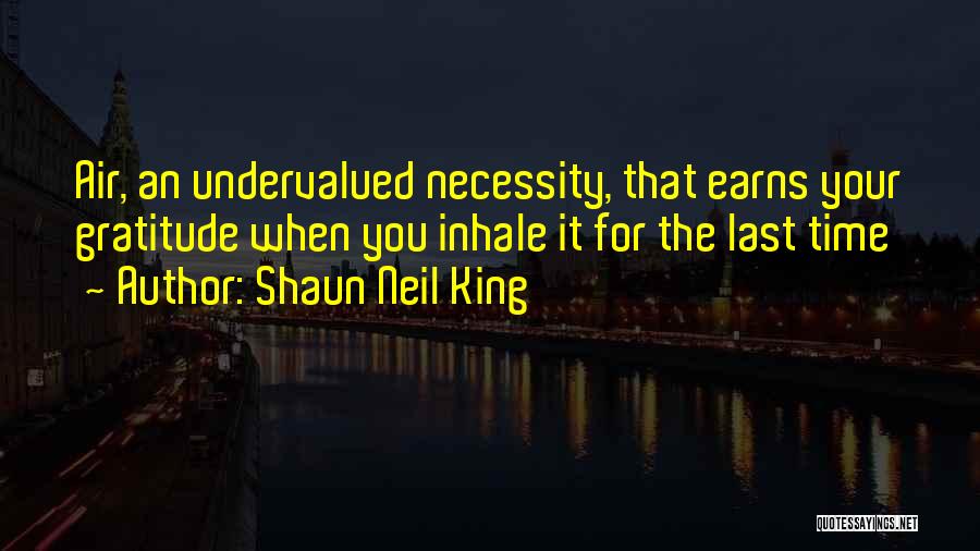 Shaun Neil King Quotes: Air, An Undervalued Necessity, That Earns Your Gratitude When You Inhale It For The Last Time