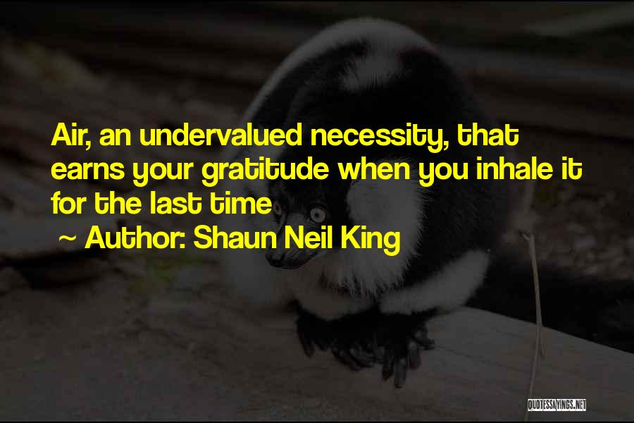 Shaun Neil King Quotes: Air, An Undervalued Necessity, That Earns Your Gratitude When You Inhale It For The Last Time