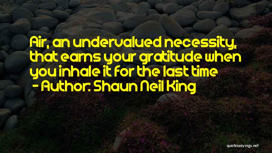 Shaun Neil King Quotes: Air, An Undervalued Necessity, That Earns Your Gratitude When You Inhale It For The Last Time