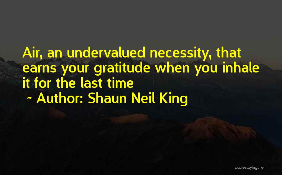 Shaun Neil King Quotes: Air, An Undervalued Necessity, That Earns Your Gratitude When You Inhale It For The Last Time