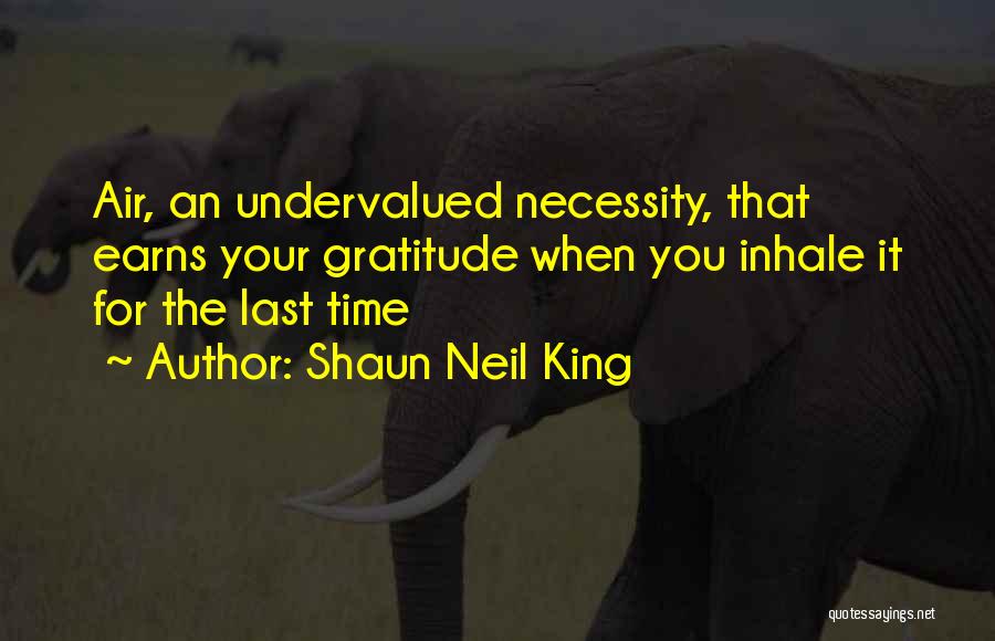 Shaun Neil King Quotes: Air, An Undervalued Necessity, That Earns Your Gratitude When You Inhale It For The Last Time