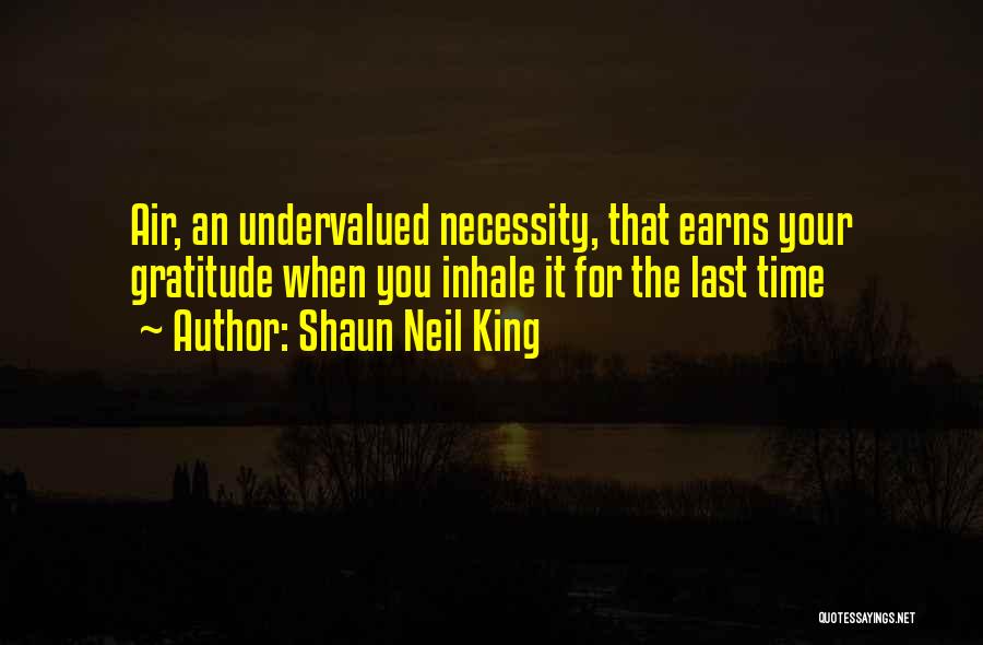 Shaun Neil King Quotes: Air, An Undervalued Necessity, That Earns Your Gratitude When You Inhale It For The Last Time