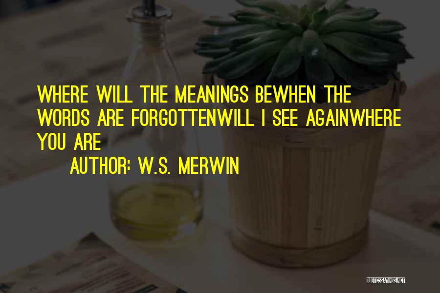 W.S. Merwin Quotes: Where Will The Meanings Bewhen The Words Are Forgottenwill I See Againwhere You Are