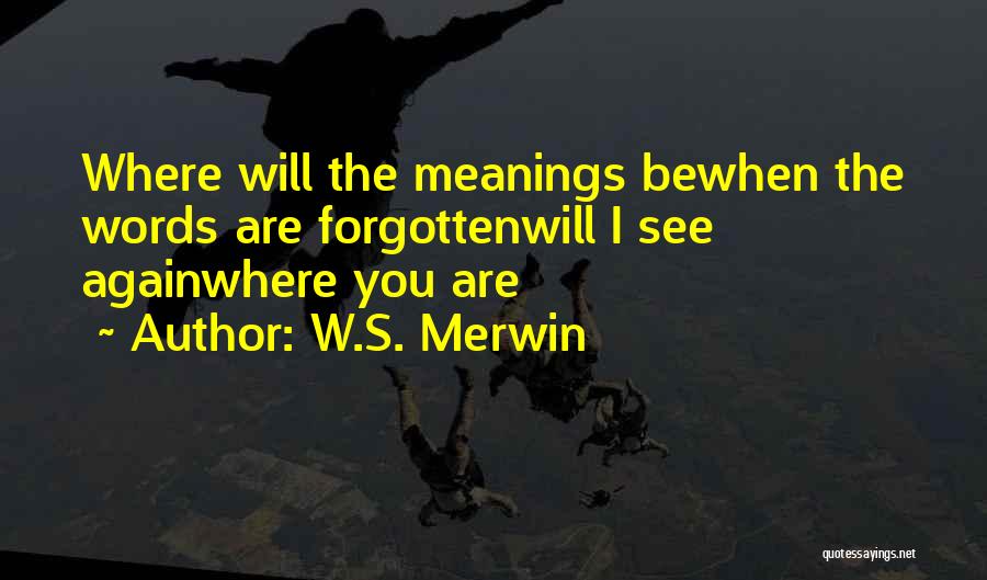 W.S. Merwin Quotes: Where Will The Meanings Bewhen The Words Are Forgottenwill I See Againwhere You Are