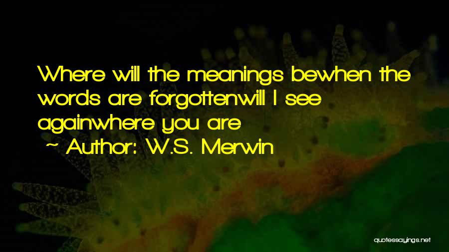 W.S. Merwin Quotes: Where Will The Meanings Bewhen The Words Are Forgottenwill I See Againwhere You Are