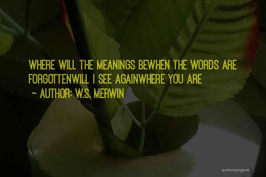 W.S. Merwin Quotes: Where Will The Meanings Bewhen The Words Are Forgottenwill I See Againwhere You Are