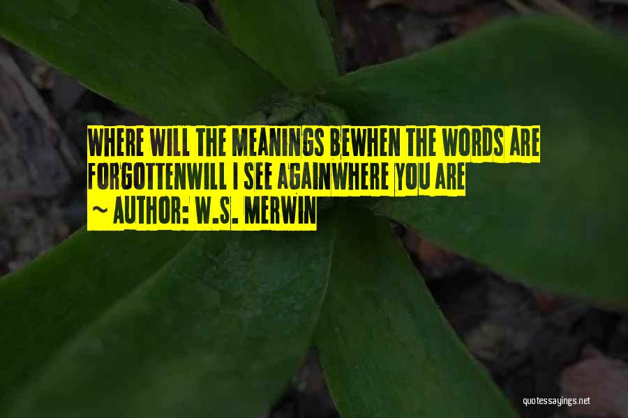 W.S. Merwin Quotes: Where Will The Meanings Bewhen The Words Are Forgottenwill I See Againwhere You Are