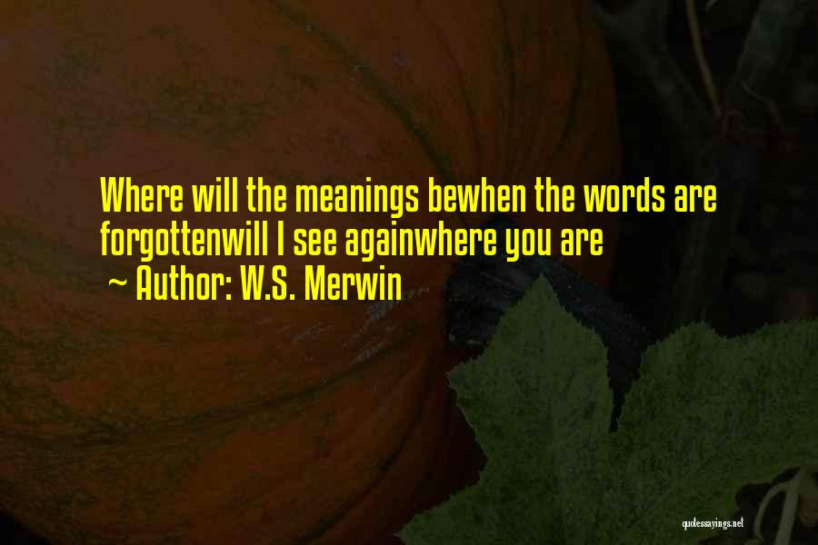 W.S. Merwin Quotes: Where Will The Meanings Bewhen The Words Are Forgottenwill I See Againwhere You Are
