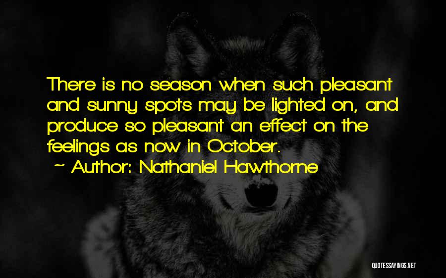 Nathaniel Hawthorne Quotes: There Is No Season When Such Pleasant And Sunny Spots May Be Lighted On, And Produce So Pleasant An Effect