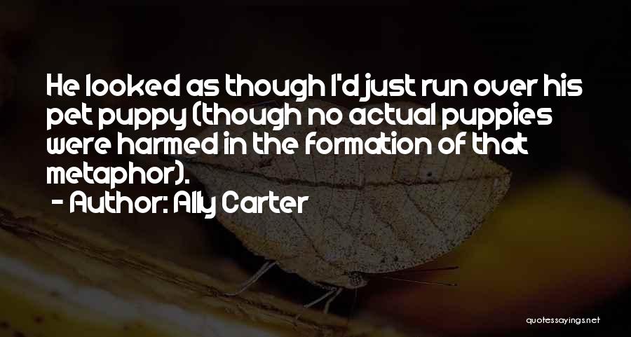 Ally Carter Quotes: He Looked As Though I'd Just Run Over His Pet Puppy (though No Actual Puppies Were Harmed In The Formation