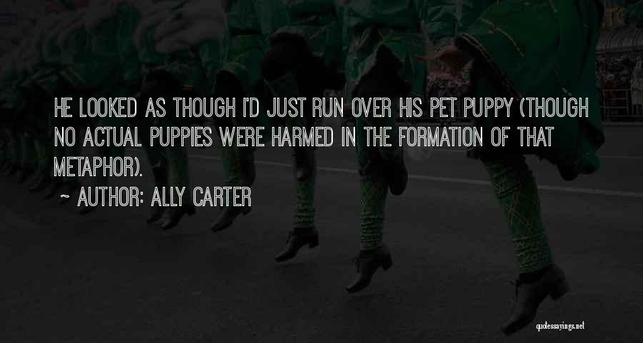 Ally Carter Quotes: He Looked As Though I'd Just Run Over His Pet Puppy (though No Actual Puppies Were Harmed In The Formation