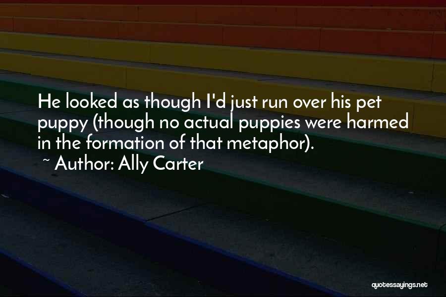 Ally Carter Quotes: He Looked As Though I'd Just Run Over His Pet Puppy (though No Actual Puppies Were Harmed In The Formation