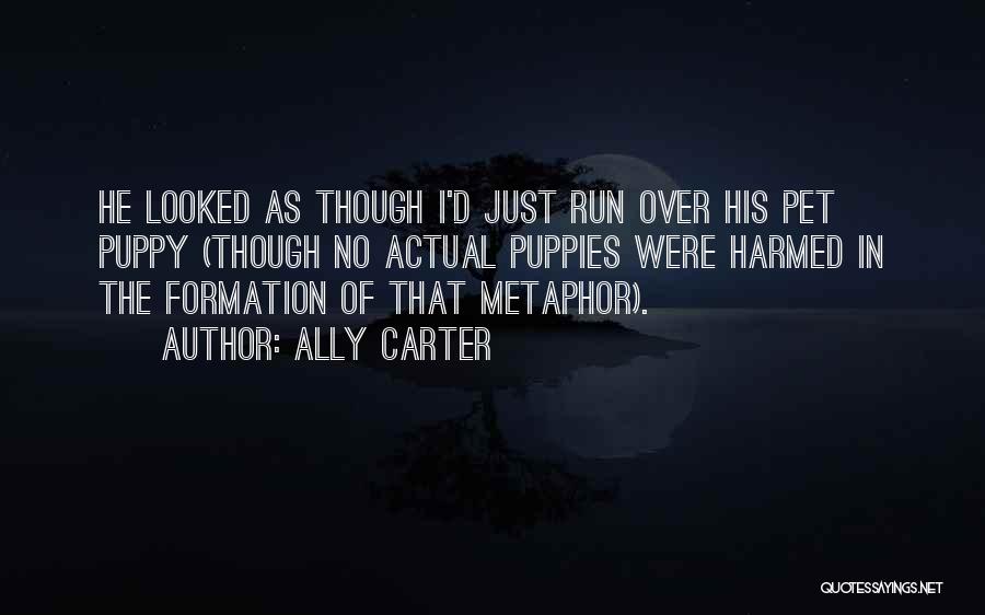 Ally Carter Quotes: He Looked As Though I'd Just Run Over His Pet Puppy (though No Actual Puppies Were Harmed In The Formation