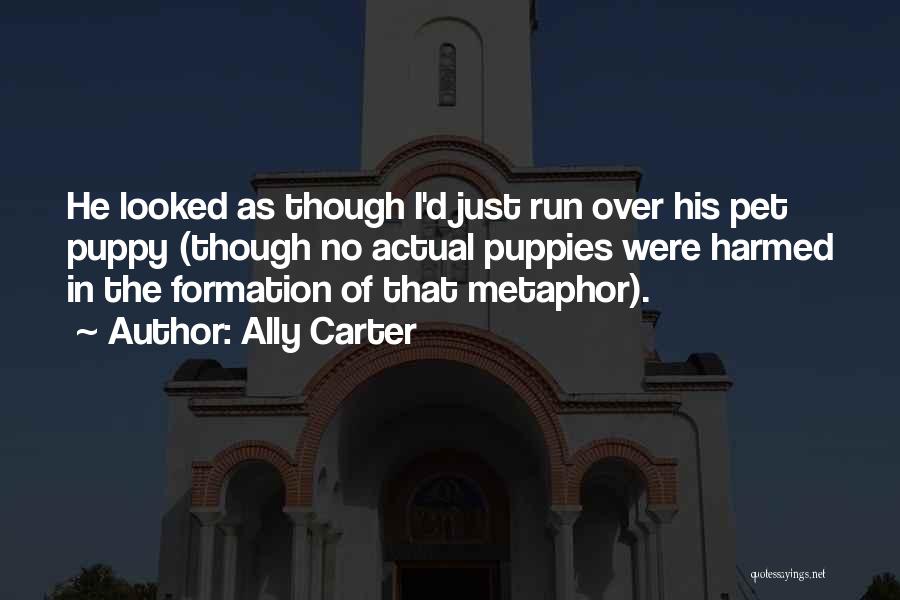 Ally Carter Quotes: He Looked As Though I'd Just Run Over His Pet Puppy (though No Actual Puppies Were Harmed In The Formation