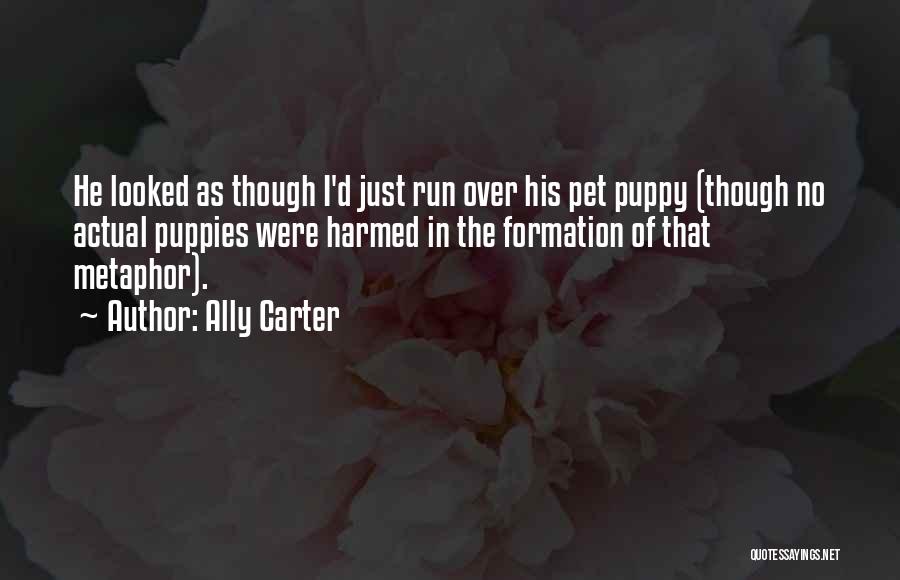 Ally Carter Quotes: He Looked As Though I'd Just Run Over His Pet Puppy (though No Actual Puppies Were Harmed In The Formation