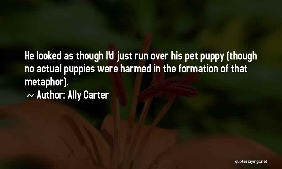 Ally Carter Quotes: He Looked As Though I'd Just Run Over His Pet Puppy (though No Actual Puppies Were Harmed In The Formation