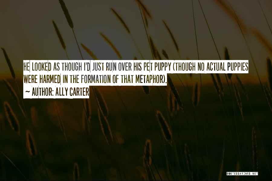 Ally Carter Quotes: He Looked As Though I'd Just Run Over His Pet Puppy (though No Actual Puppies Were Harmed In The Formation