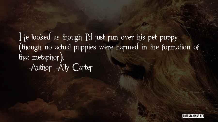 Ally Carter Quotes: He Looked As Though I'd Just Run Over His Pet Puppy (though No Actual Puppies Were Harmed In The Formation