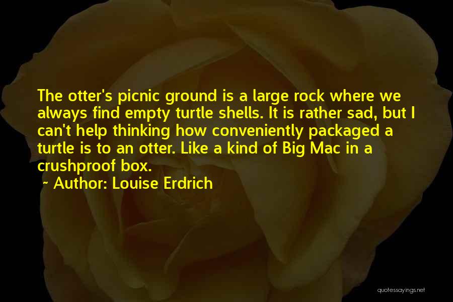 Louise Erdrich Quotes: The Otter's Picnic Ground Is A Large Rock Where We Always Find Empty Turtle Shells. It Is Rather Sad, But